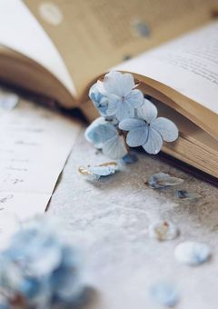 「先生、結婚してください」〖青〗