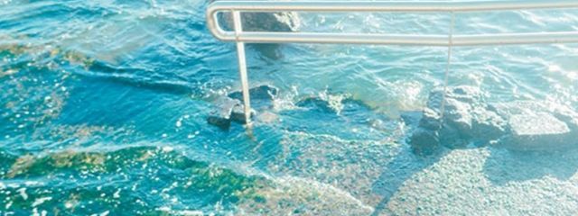 小缘小犬さんの壁紙画像