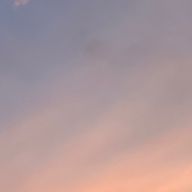 にーな🦕💫さんのアイコン画像