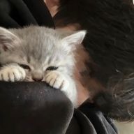 ☠️さんのアイコン画像