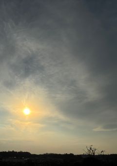 澪蘭専用ノート