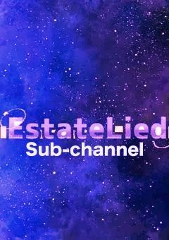 【公式サブチャンネル】えぶりでい えすたーてりーと！