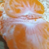 ヒマワリさんのアイコン画像