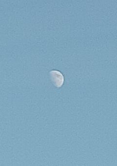 【🍕】ぴざざざざざ