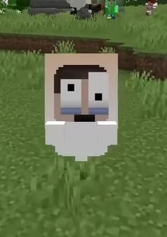 おばけのコ