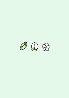 せす宅擬ピク