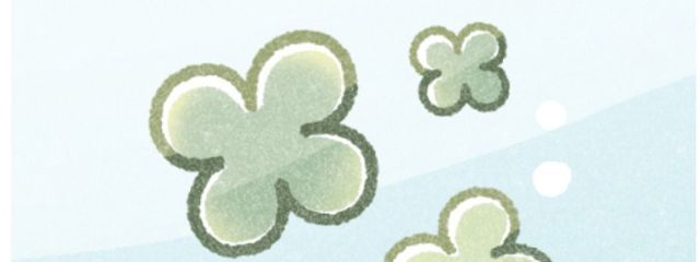 願 叶羽さんの壁紙画像