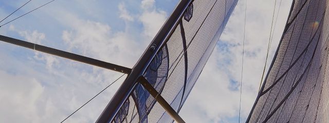 アイスさんの壁紙画像