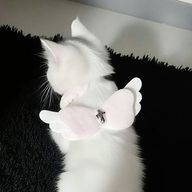 👶🏻🍼さんのアイコン画像