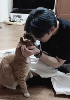 運命じゃなくても。