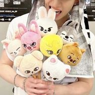ミンちゃん　（引退かもさんのアイコン画像