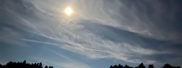 櫻*..さんの壁紙画像