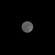  moon.さんのアイコン画像