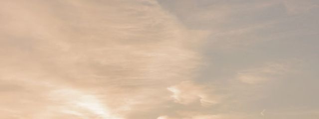 まにーさんの壁紙画像