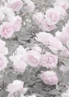 　　　𝒃𝒊𝒕𝒕𝒆𝒓 𝒄𝒉𝒐𝒄𝒐 𝒅𝒆𝒄𝒐𝒓𝒂𝒕𝒊𝒐𝒏