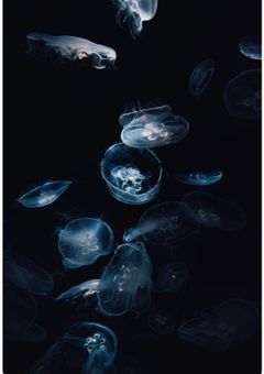 たとえ世界が暗くても