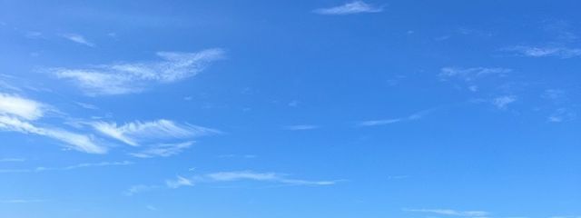 Aya🐶さんの壁紙画像