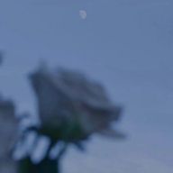 Aya🐶さんのアイコン画像