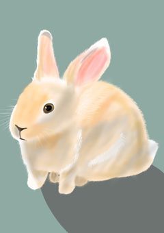 イラスト部屋（動物版）