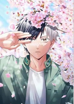 4階から飛び降りたら好かれました