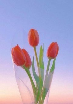 Printemps