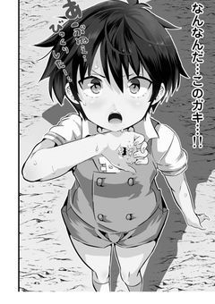 幻想郷の巫女たちはある世界に落ちる