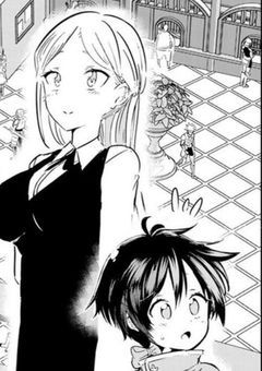 幻想郷の巫女たちはある世界に落ちる