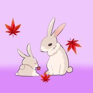 秋うささんのアイコン画像
