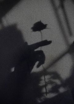 、、、、なんなんすか？