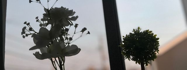 はるかなおぜさんの壁紙画像