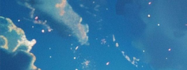 こむぎさんの壁紙画像