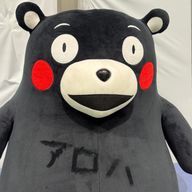 きららさんのアイコン画像