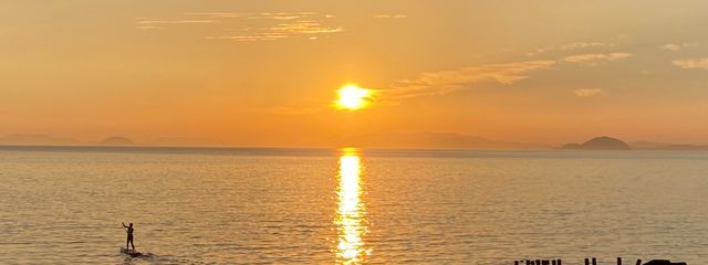 海月さんの壁紙画像