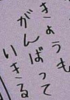 どこかの、だれかの、ほんとのはなし。