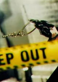 “ 服従を俺に誓え 。 ”