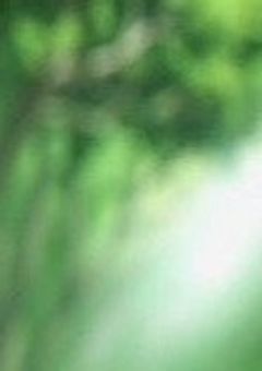 💚