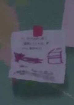 ジェット先輩の妹は最強でした