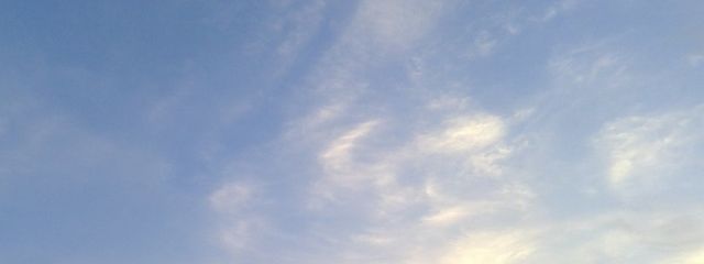 桃さんの壁紙画像