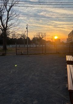 じこしょーかいするぜ！質問箱でもあるんで。なんでも答えまーす⭕️