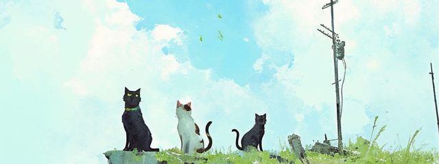 ruto.#🕊️🫧🌿さんの壁紙画像