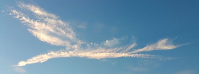 星憂さんの壁紙画像