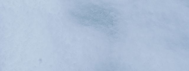 ぱすすさんの壁紙画像