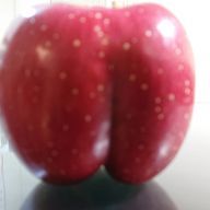 ボムさんのアイコン画像