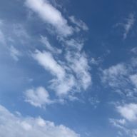 くうへまゆまゆまふゅ）るみるちまぬふみ）むさんのアイコン画像