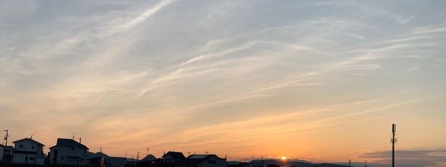 千隼さんの壁紙画像
