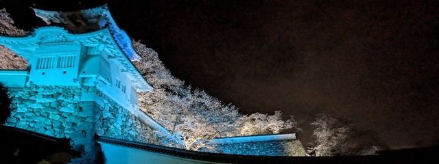 mioさんの壁紙画像