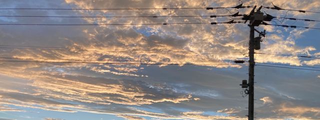 青柳黒葉@活動停止中さんの壁紙画像