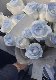 ⁎˳✧ 24 / 7 with us ˚✧₊