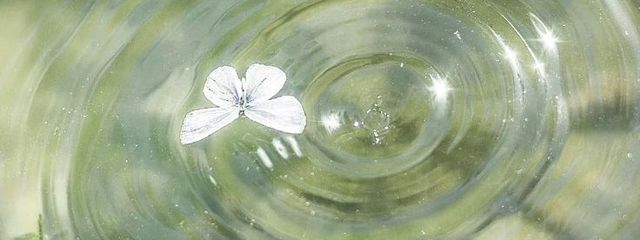 なのさんの壁紙画像
