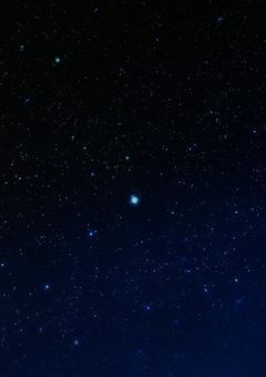 こんにちは！